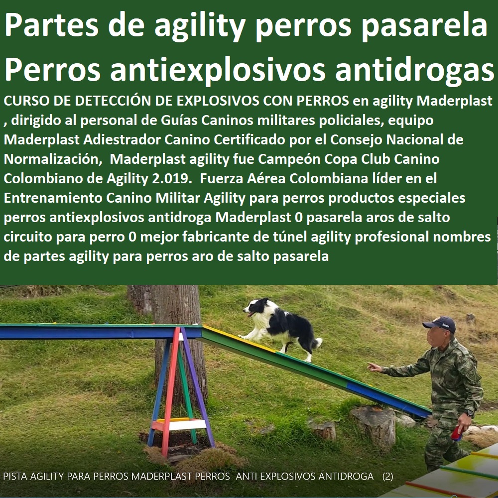 Agility Canino Circuito Entrenamiento de Perros Pista Adiestramientos perros Guías 0 rampa pasarela Agility conformes al reglamento 0 Canes Guías Antiexplosivos Antidroga Catálogo de Obstáculos de Agility Diseño Fabricación y Venta canino Agility Canino Circuito Entrenamiento de Perros Pista Adiestramientos perros Guías 0 rampa pasarela Agility conformes al reglamento 0 Canes Guías Antiexplosivos Antidroga Catálogo de Obstáculos de Agility Diseño Fabricación y Venta canino